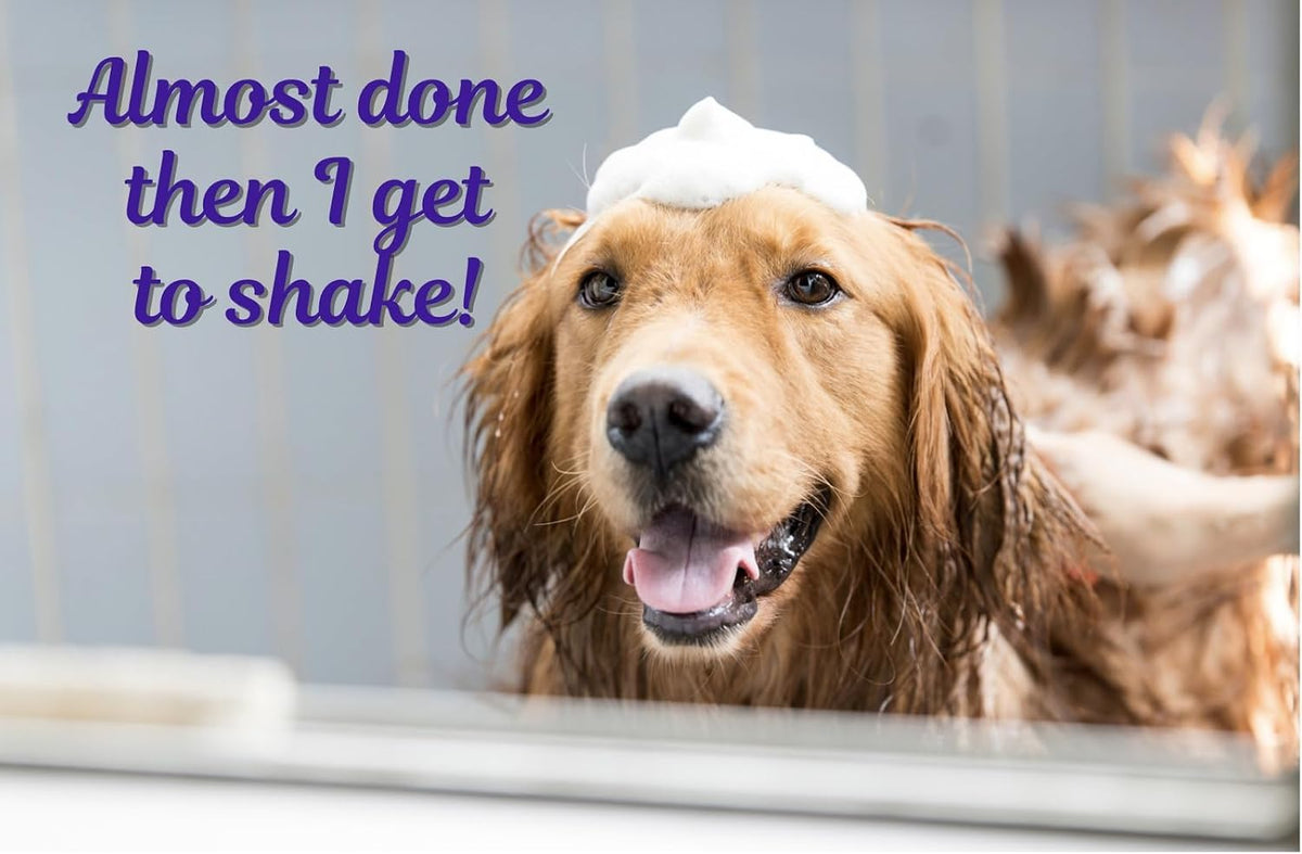 Pro Dog Cat Grooming Shampoos Natural Botanical Ikaria and Spa Inspired 2.5 Gallon (Groomer's Kit of All 5 Formulas)
